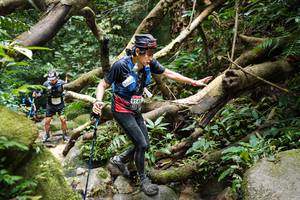 BIB: 
                            <button type="button" onclick="openModal(19407256)" class="btn btn-primary btn-sm float-right btn-popup" data-toggle="modal" data-target=".modal-high-quality">
                        <i class="fas fa-shopping-cart"></i> Add to Cart
                    </button>
                                            <button type="button" onclick="isThisMe(19407256, true)" class="btn btn-success btn-sm float-right btn-popup btn-isme hidden" data-toggle="tooltip" data-placement="bottom" title="นี่คือรูปของคุณใช่ไหม คลิกที่นี่เพื่อเอาเข้าอัลบั้ม">
                        <i class="fas fa-plus"></i> Add to album
                    </button>
                    <button type="button" onclick="isThisMe(19407256, false)" class="btn btn-warning btn-sm float-right btn-popup btn-isnotme hidden">
                        <i class="fas fa-ban"></i> Remove from album
                    </button>